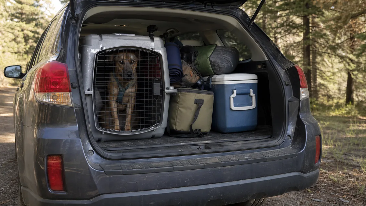 Subaru Outback cargo area for Camry alternatives